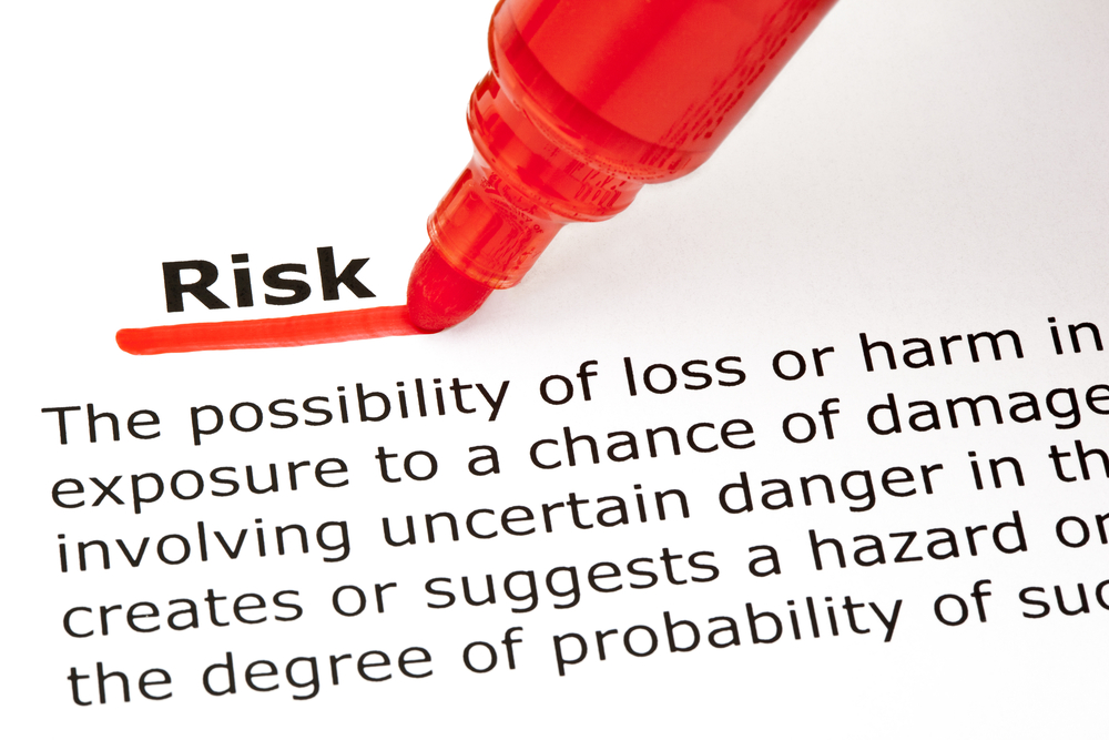 risk management definition essay
