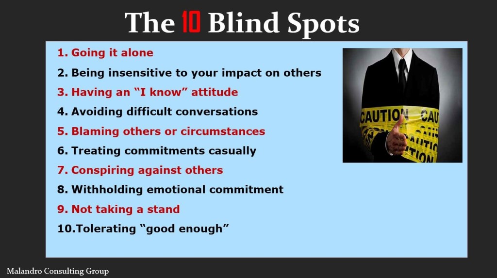 the-10-blind-spots-that-undermine-your-success-malandro